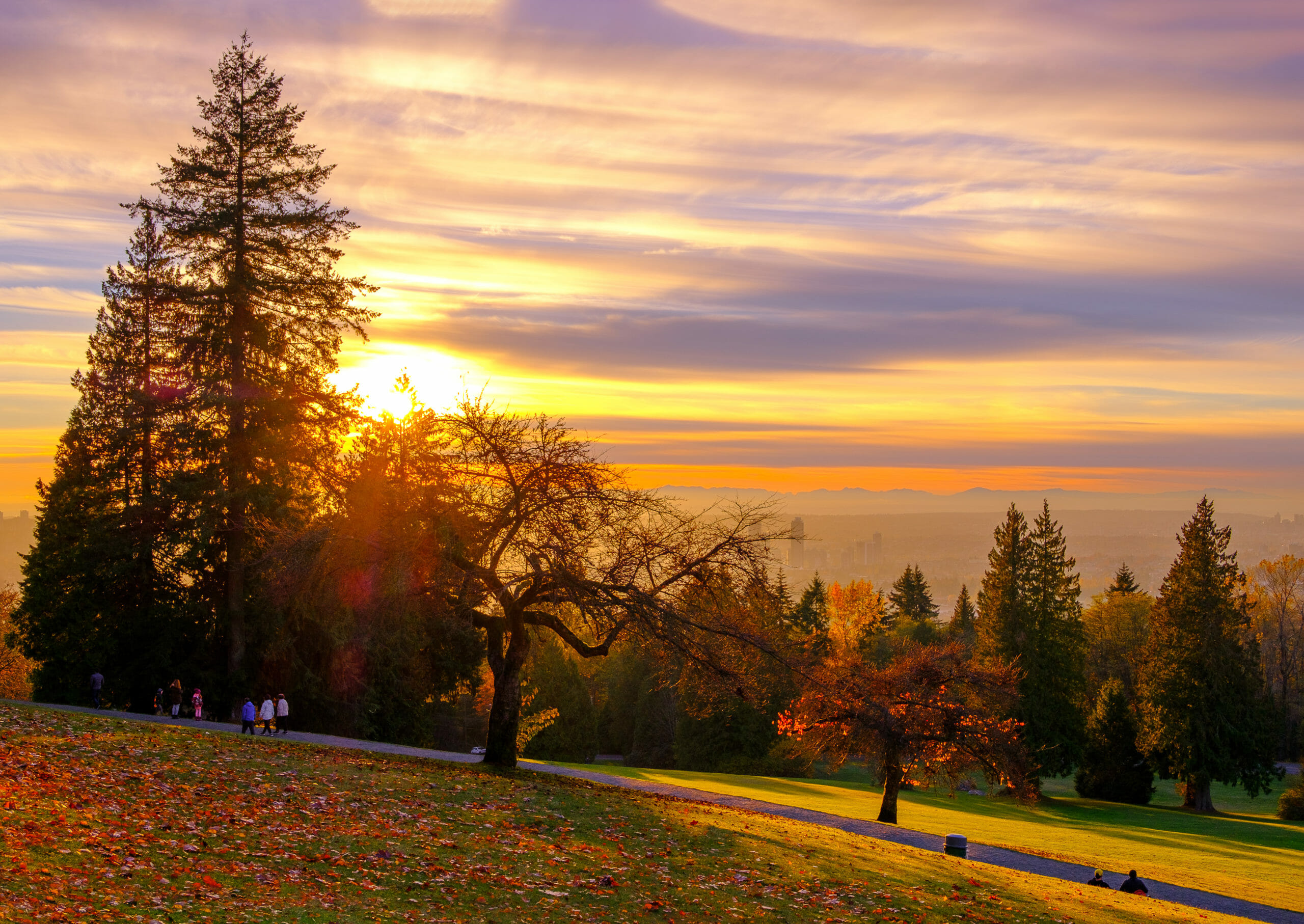 Vibrant orange sunset on Burnaby Mountain with fall foliage on sloping green hill and Vancouver covered in haze in distance