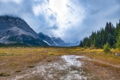 View from Robson Pass looking towards Rearguard Mountain, Mount Robson, Mount Resplendent in Mount Robson Provincial Park