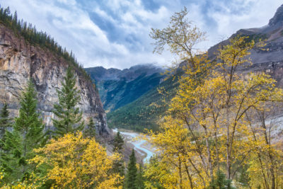 Looking down on Kinney Flats after rainstorm through fresh fall foliage on Berg Lake Trail in Mount Robson Provincial Park