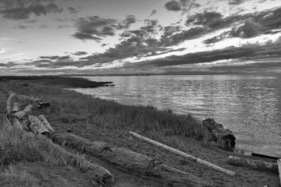 Logs on grassy sandy Iona Beach at sunset with low-lying clouds