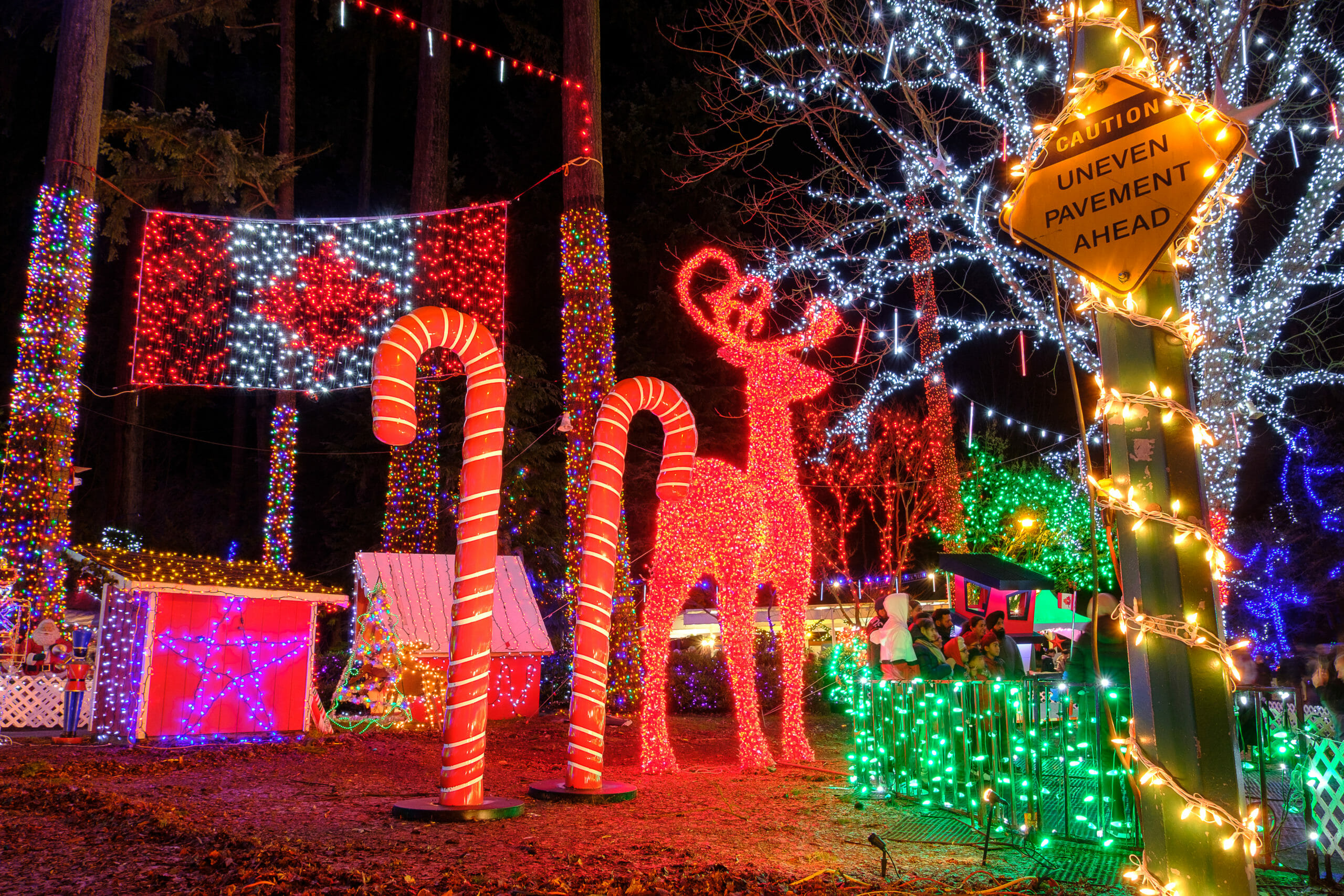 Giant reindeer, candy canes, Canadian flag, and trees in Christmas wonderland of lights at Stanley Park Bright Nights